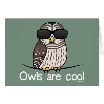 Owls are cool