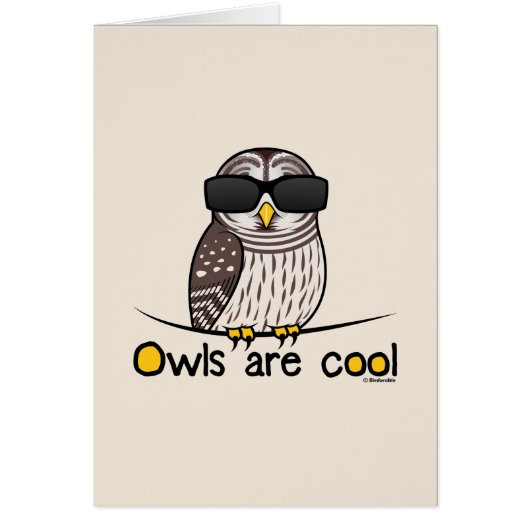 Owls are cool cards (Front)