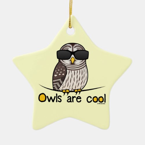 Owls are cool ceramic ornament