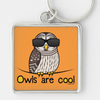 Owls are cool keychain
