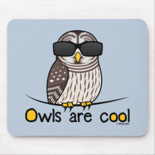 Owls are cool! mouse pad