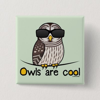 Owls are cool! pinback button
