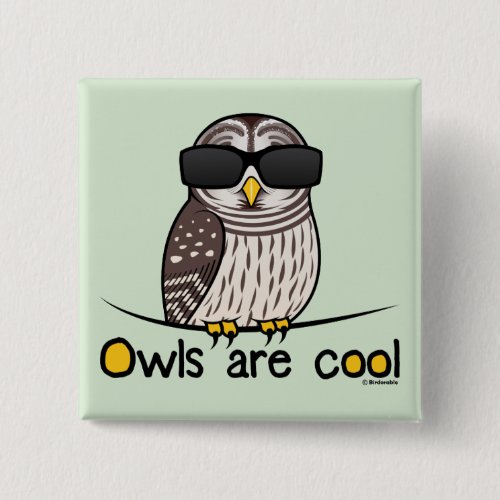 Owls are cool pinback button