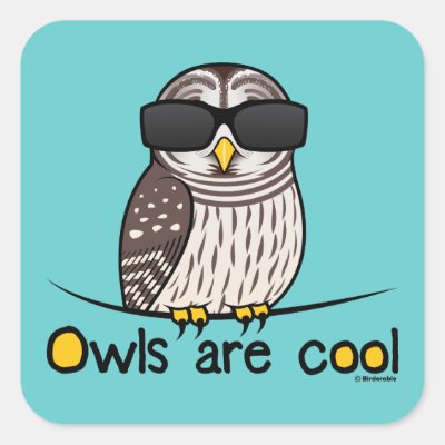 Owls are cool square sticker