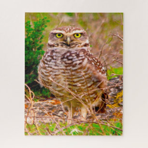 Owls -Birds of Prey. Jigsaw Puzzle