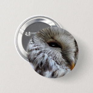 OWLS BUTTON