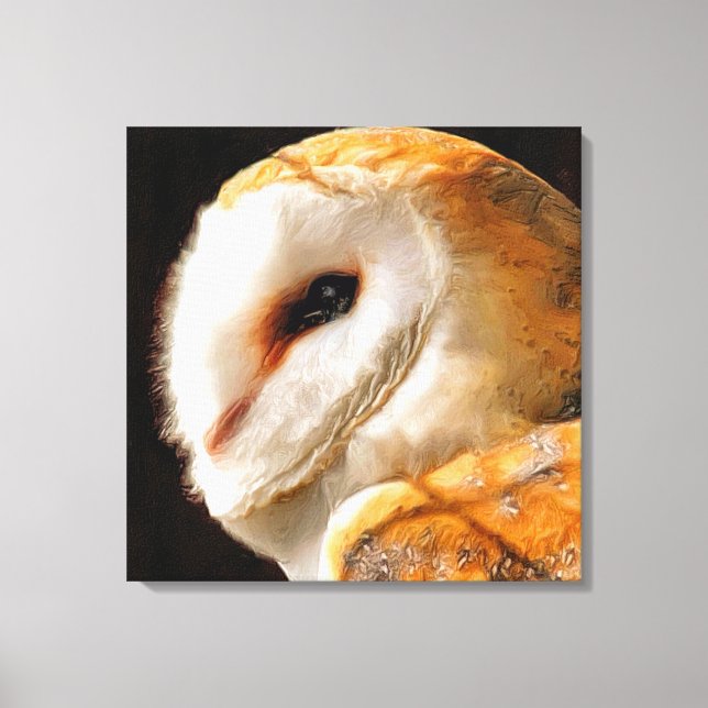 OWLS CANVAS PRINT (Front)