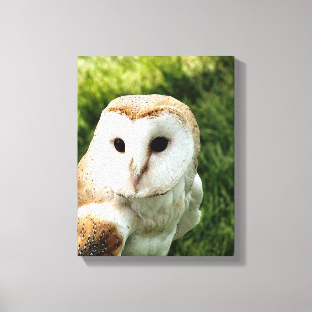 OWLS CANVAS PRINT (Front)