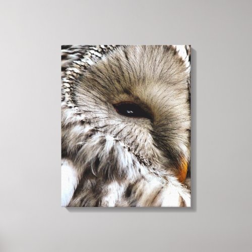 OWLS CANVAS PRINT