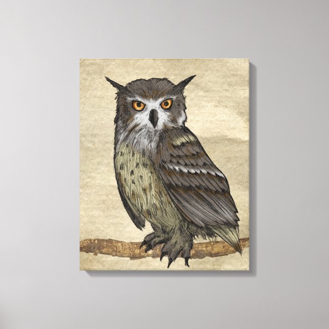 Owls Canvas Print (Front)