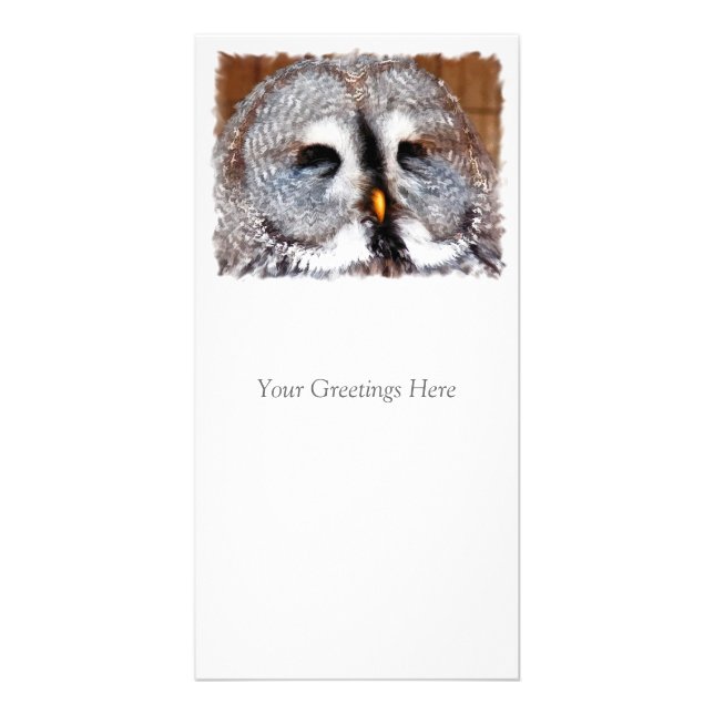 OWLS CARD (Front)