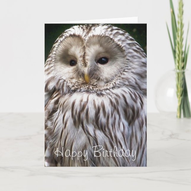 OWLS CARD (Front)