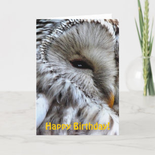 OWLS CARD