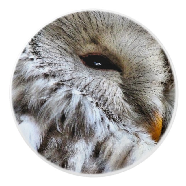 OWLS CERAMIC KNOB (Front)