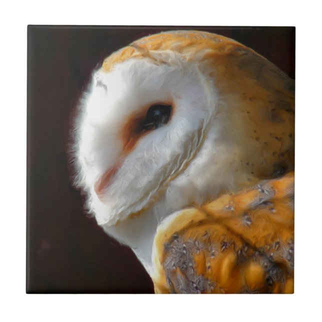 OWLS CERAMIC TILE (Front)