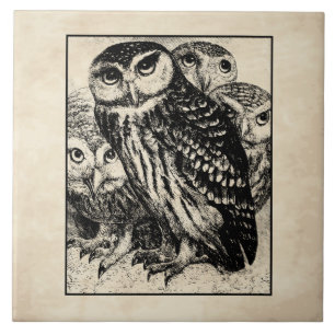 Owls Ceramic Tile