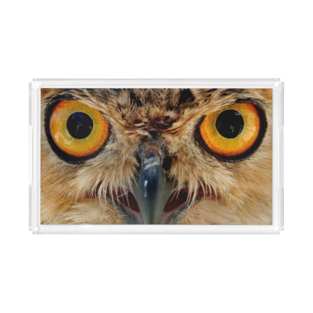 Owls Eyes Acrylic Tray (Front)