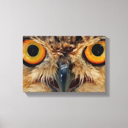 Owls Eyes Canvas Print