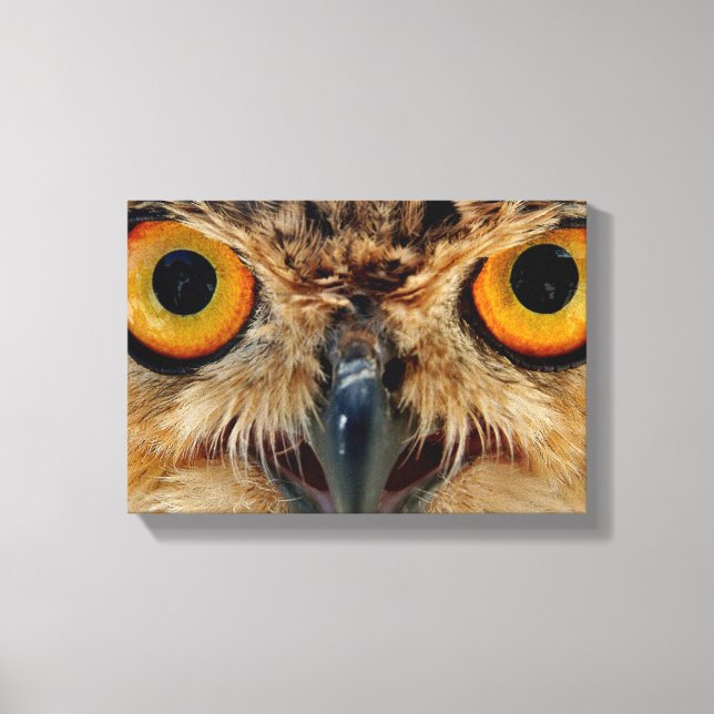 Owls Eyes Canvas Print (Front)