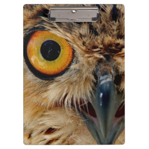 Owls Eyes Clipboard