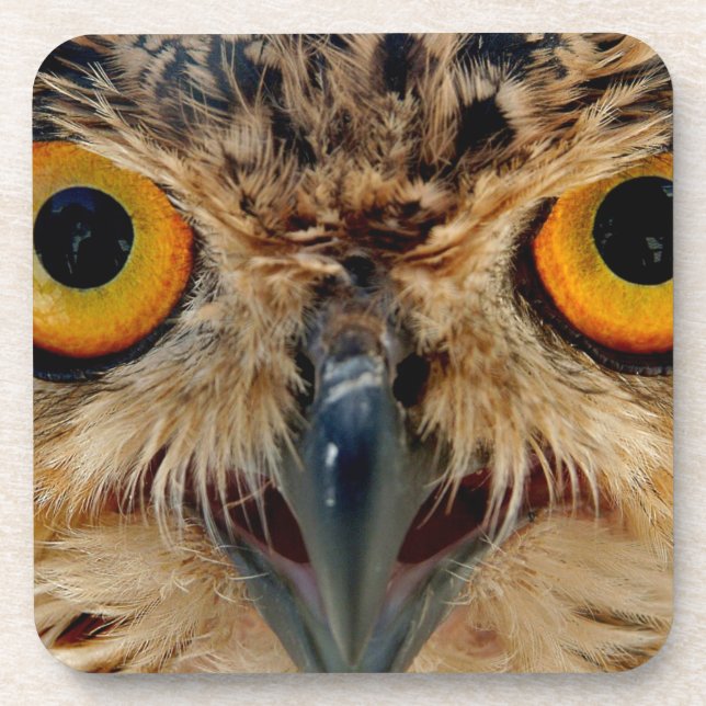 Owls Eyes Drink Coaster (Front)