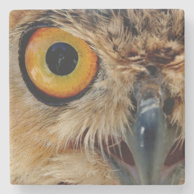 Owls Eyes Stone Coaster (Front)