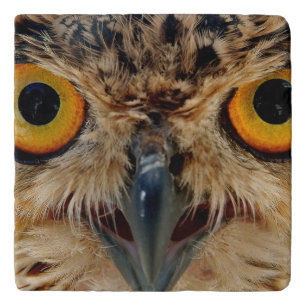 Owls Eyes Trivet
