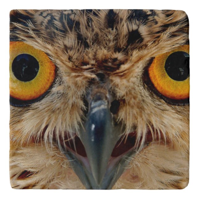 Owls Eyes Trivet (Front)