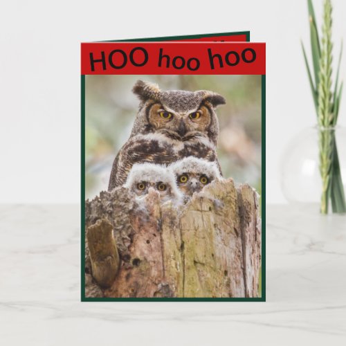 OWLS FAMILY CHRISTMAS CARDS