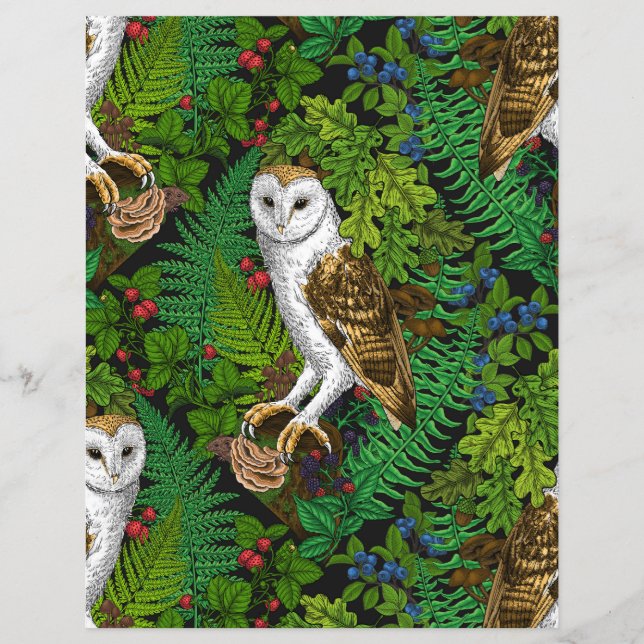 Owls, ferns, oak and berries (Front)
