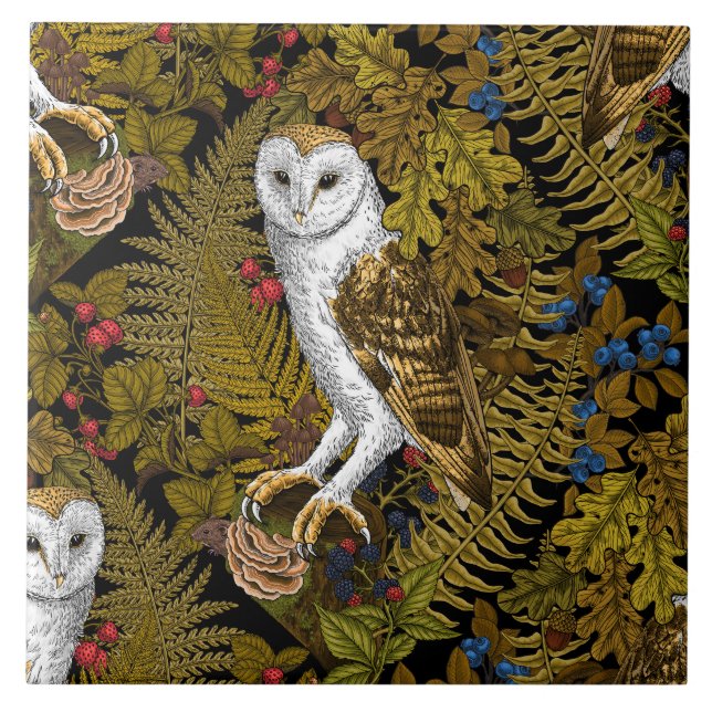 Owls, ferns, oak and berries 2 ceramic tile (Front)