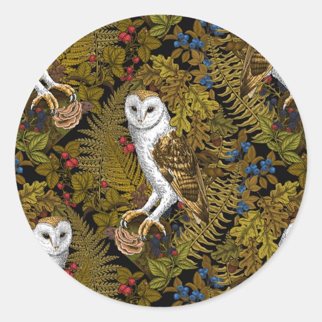Owls, ferns, oak and berries 2 classic round sticker (Front)