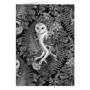 Owls, ferns, oak and berries 4 cards