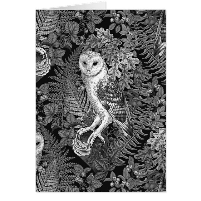 Owls, ferns, oak and berries 4 cards (Front)