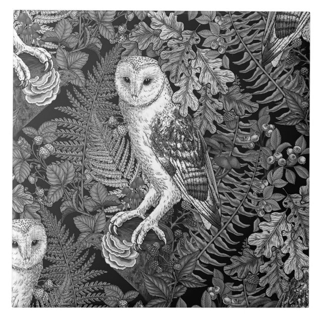 Owls, ferns, oak and berries 4 ceramic tile (Front)