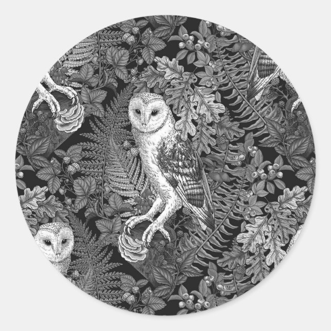 Owls, ferns, oak and berries 4 classic round sticker (Front)