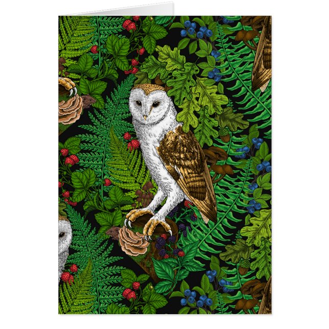 Owls, ferns, oak and berries cards (Front)