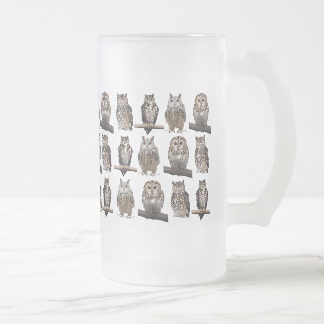 Owls Frosted Glass Beer Mug (Right)