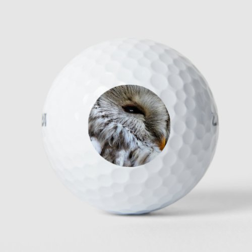 OWLS GOLF BALLS