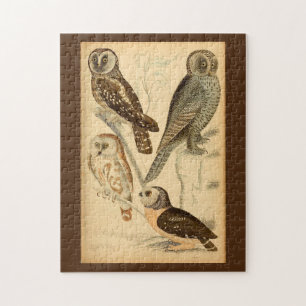 Owls illustration jigsaw puzzle