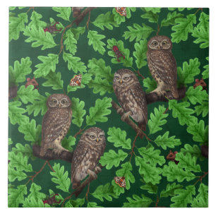 Owls in the forest on dark green ceramic tile