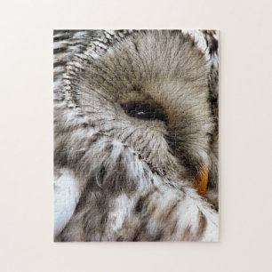 OWLS JIGSAW PUZZLE