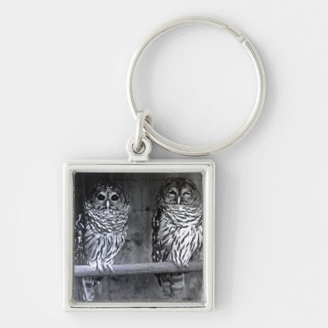 Owls Keychain (Front)
