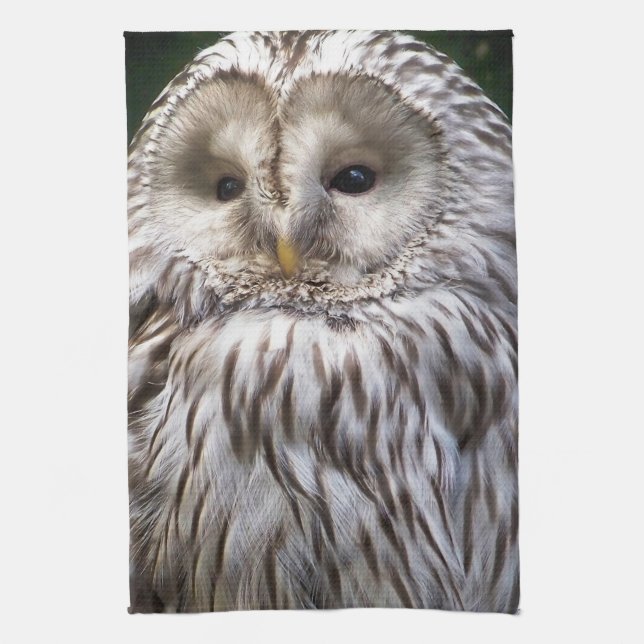 OWLS KITCHEN TOWEL (Vertical)