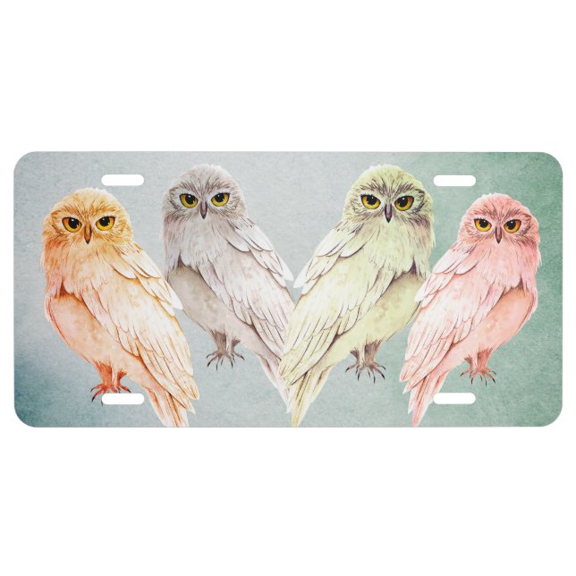 owls  license plate (Front)