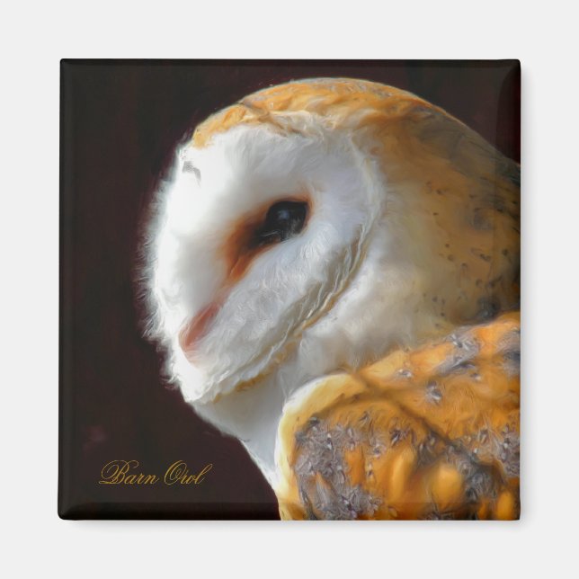 OWLS MAGNET (Front)