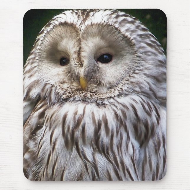 OWLS MOUSE PAD (Front)