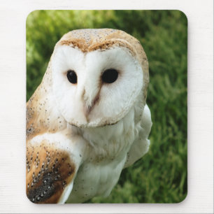 OWLS MOUSE PAD