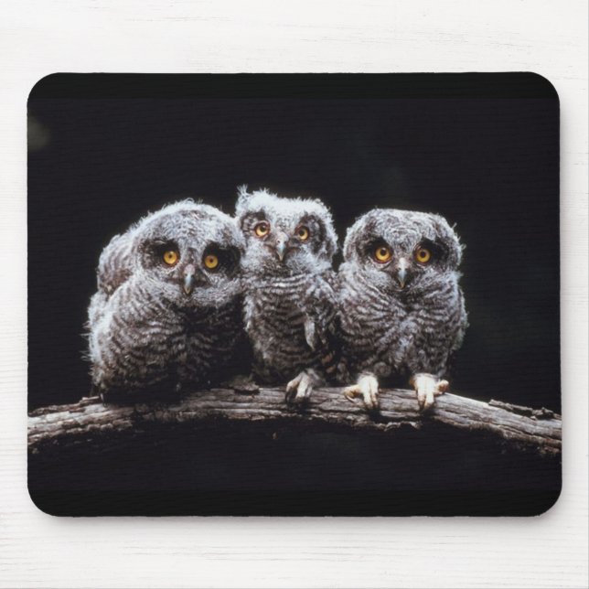 Owls Mouse Pad (Front)