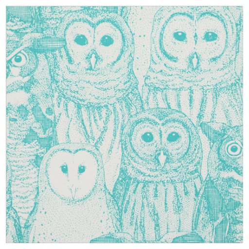 owls NC aqua Fabric